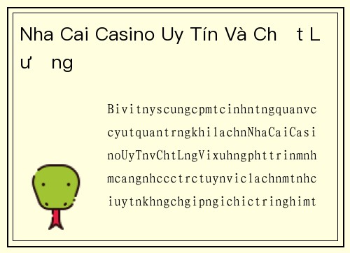 Nha Cai Casino Uy Tín Và Chất Lượng