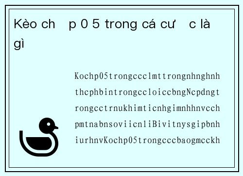 Kèo chấp 0 5 trong cá cược là gì