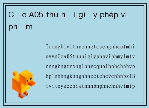 Cục A05 thu hồi giấy phép vi phạm