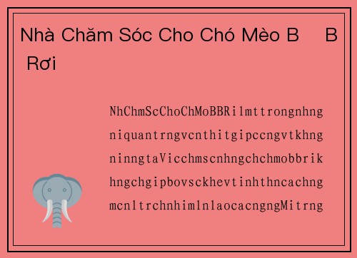 Nhà Chăm Sóc Cho Chó Mèo Bị Bỏ Rơi