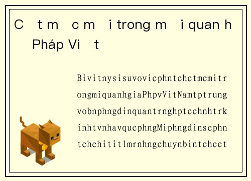 Cột mốc mới trong mối quan hệ Pháp Việt