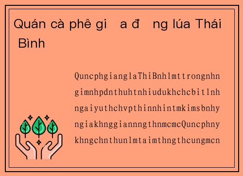 Quán cà phê giữa đồng lúa Thái Bình
