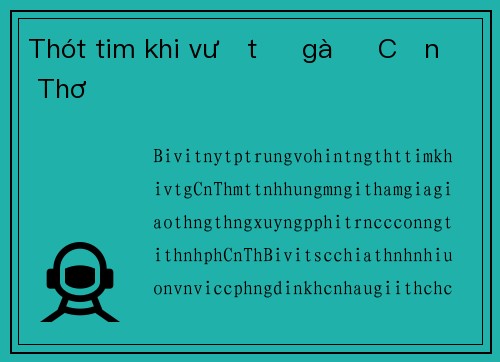 Thót tim khi vượt ổ gà ở Cần Thơ